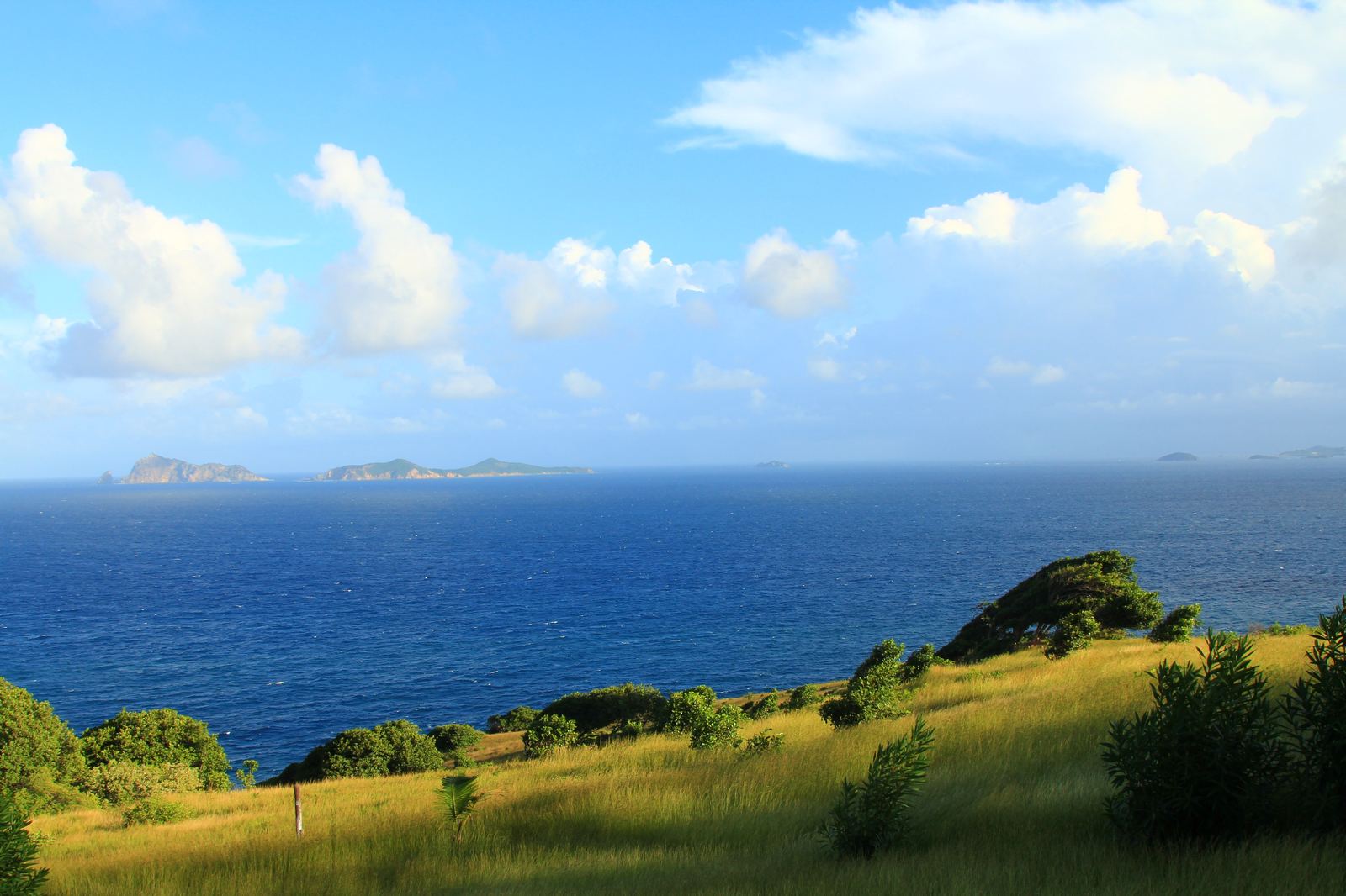 Hilltop life at The Old Fort Estate